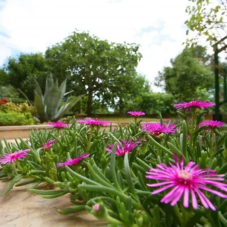 In With Terrace, Wifi