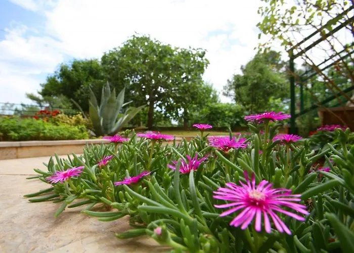 In With Terrace, Wifi